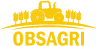 Logo footer obsagri