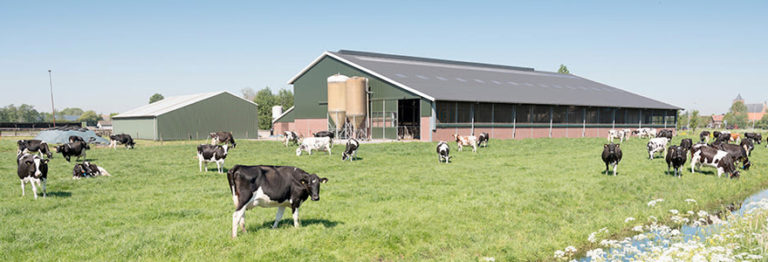 Business exploitation image